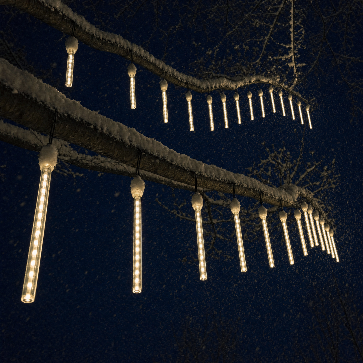Two sets of warm white meteor lights on two snowy branches